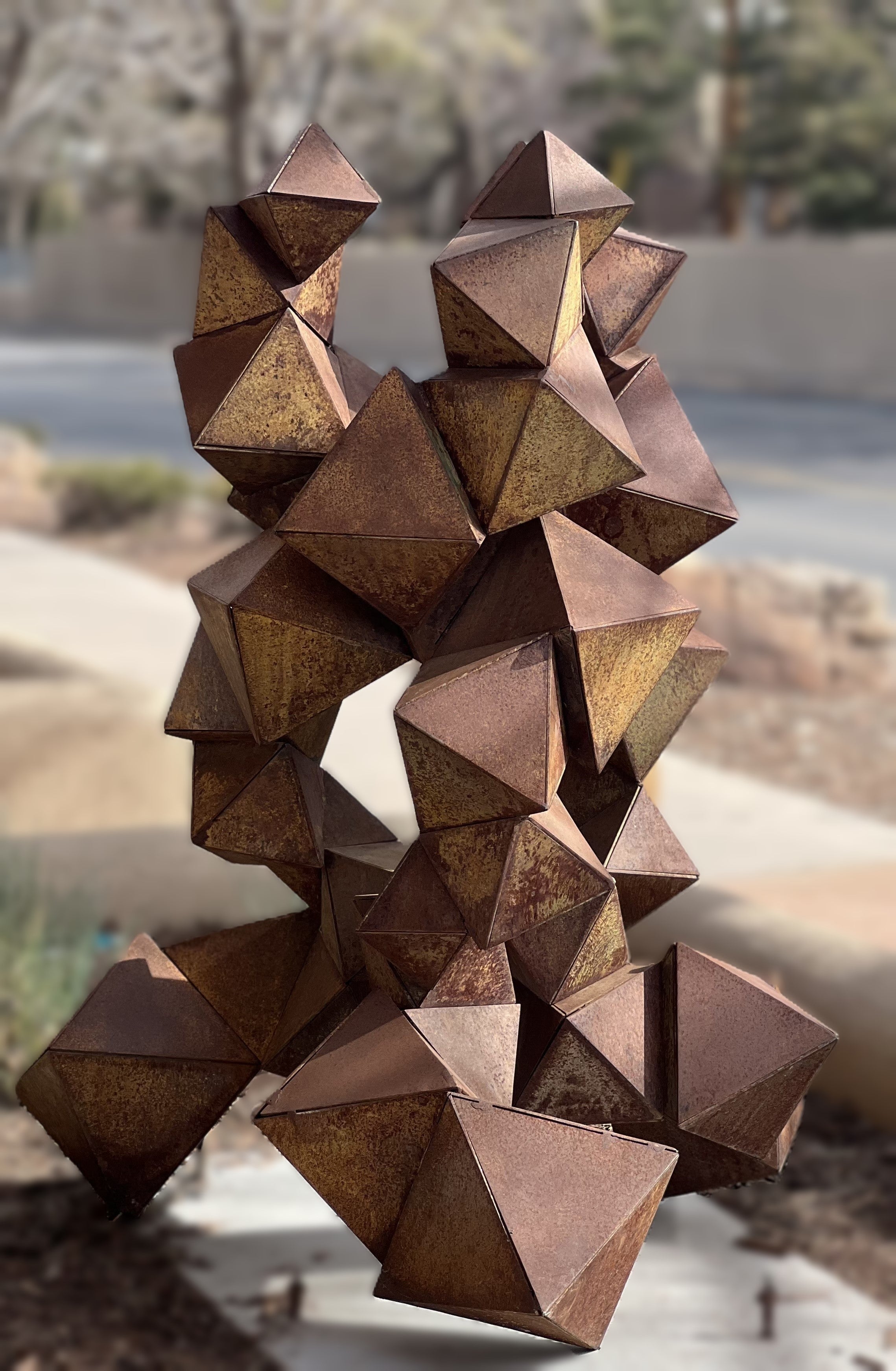 OCTAHEDRONAPUS
